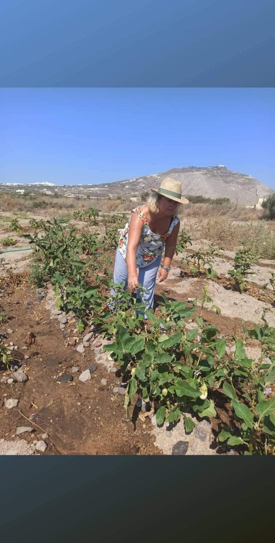 Ab Green Living Santorini Emporio  Eksteriør billede