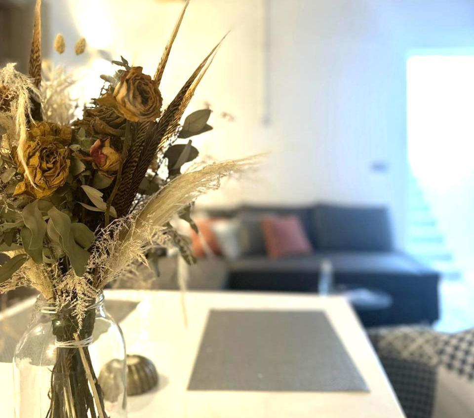 Ab Green Living Santorini Emporio  Eksteriør billede